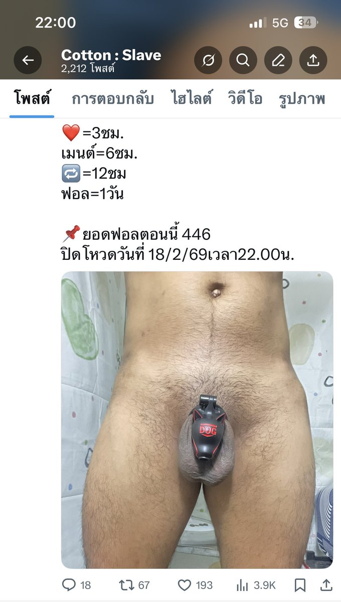 Cotton : Slave tweet media