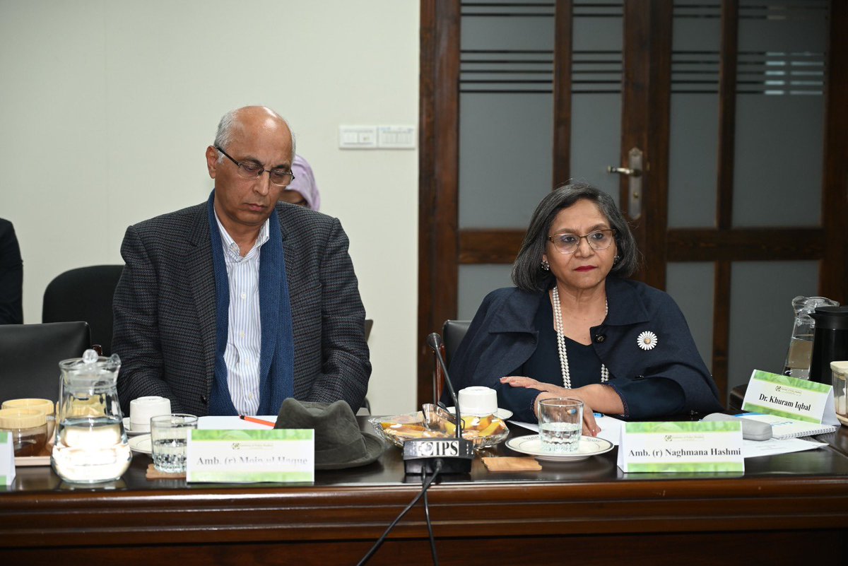 Amb Naghmana Naheed. tweet media