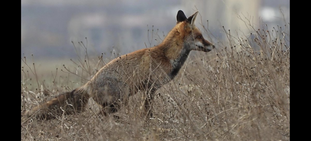 Manuel (@manuel41195697) on Twitter photo 