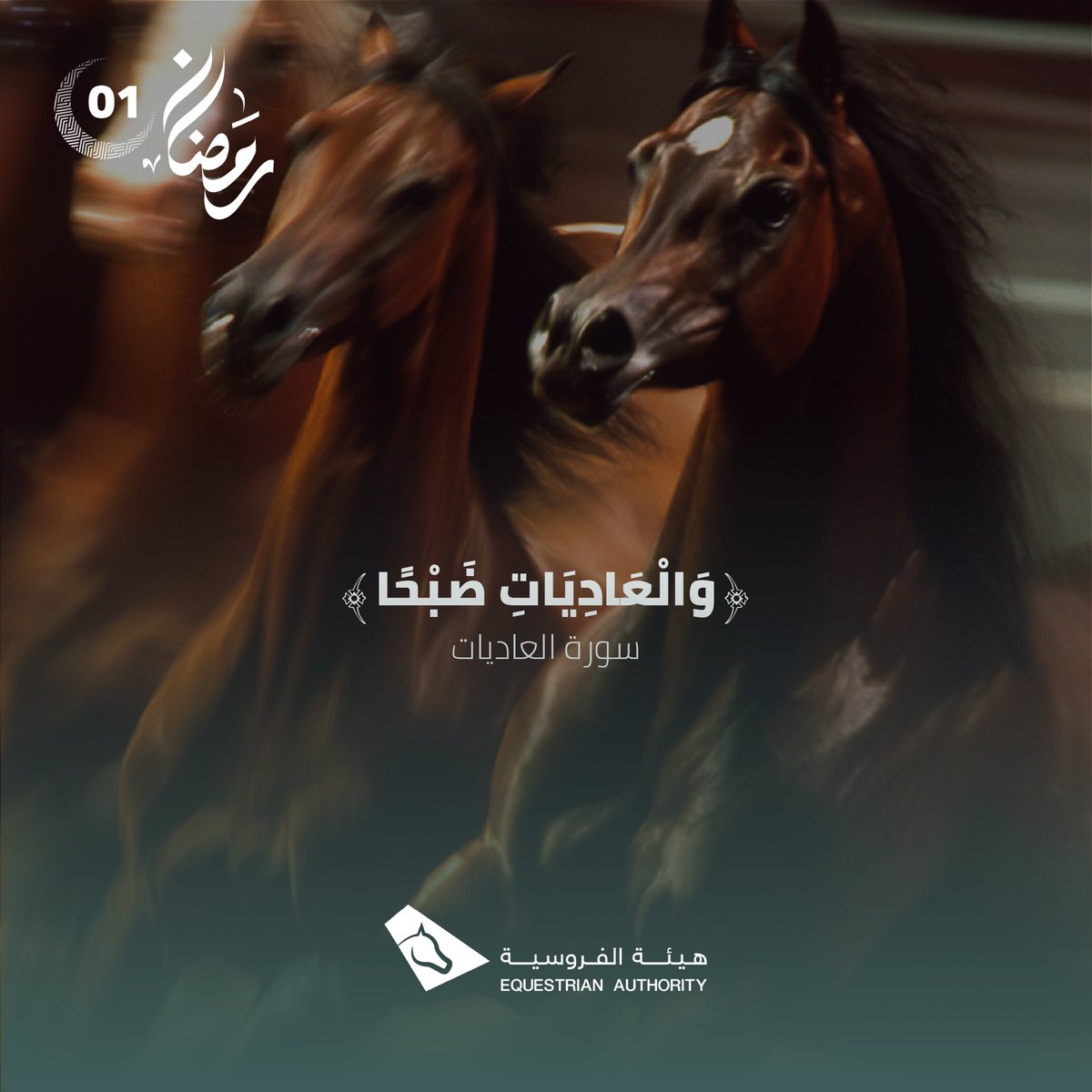 هيئة الفروسية tweet media