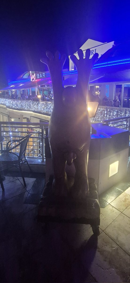 Here's @Bennyboddicker when fronted in #Tenerife 😂😂

#shitebag