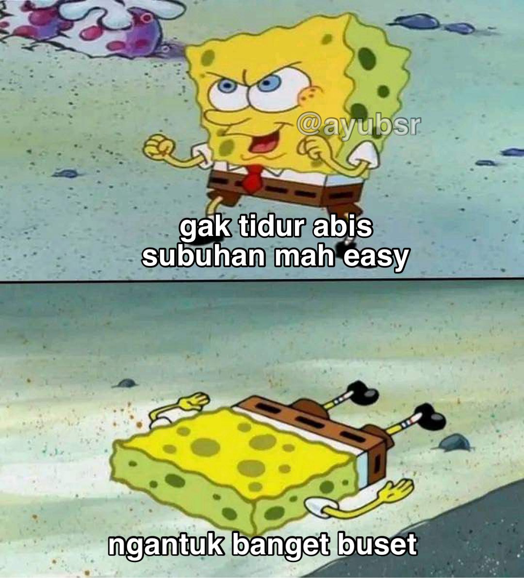 Ayu tweet media