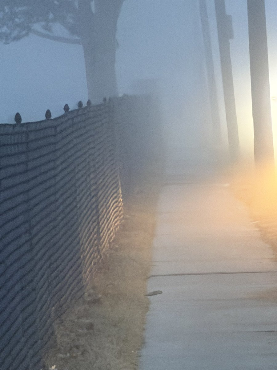 MikeHolmes519's tweet photo. Fog-tography #nofilter #FYP #fog #photography https://t.co/ohivKR5iyk