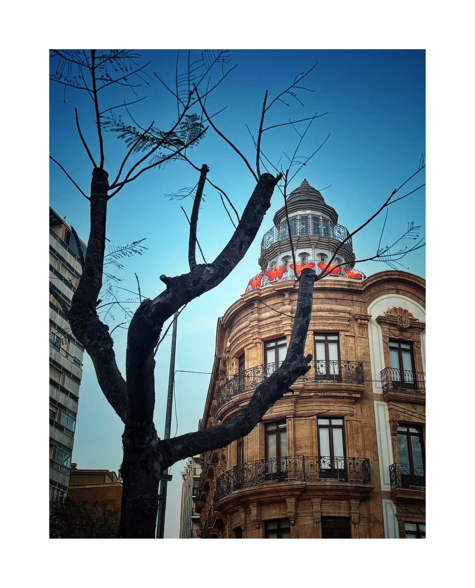 Le pido deseos a los días como si fuesen estrellas fugaces.