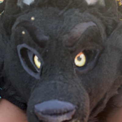 M4JORTHEWOLF tweet media