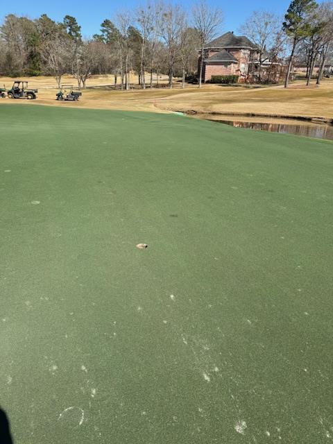 ModernTurfGolf tweet media