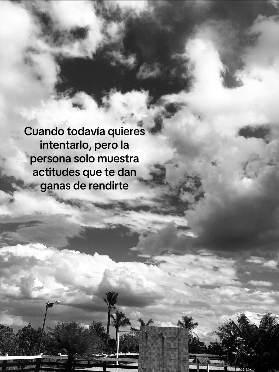 Bandidosfrasess's tweet photo. https://t.co/z4w4MQPZ0V
