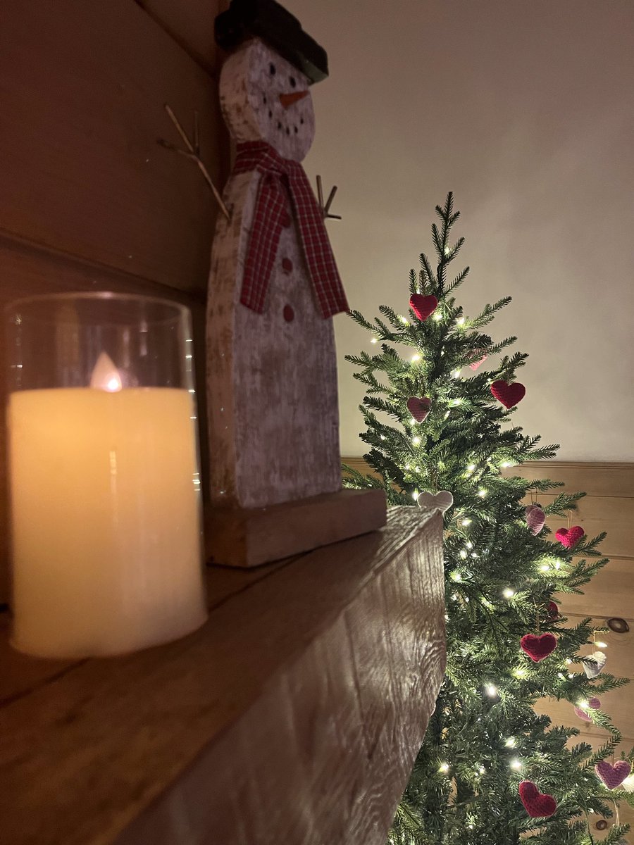 Because everyone should have a Valentine Day tree! #maine