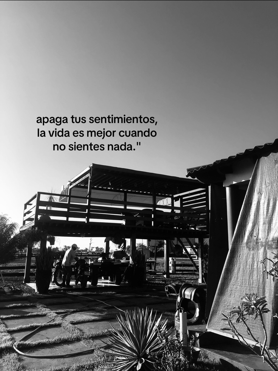 Bandidosfrasess's tweet photo. https://t.co/0SQhiOVrCX