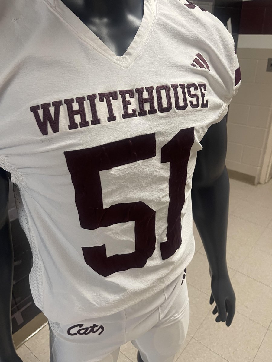 Brett Gilchrist tweet media