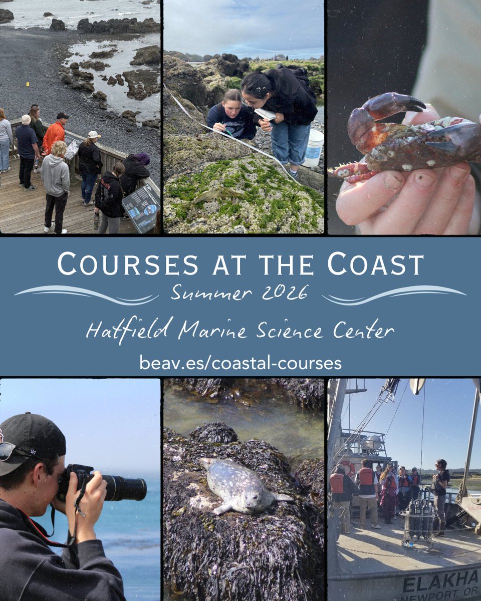 Marine and Coastal Opportunities - OSU tweet media