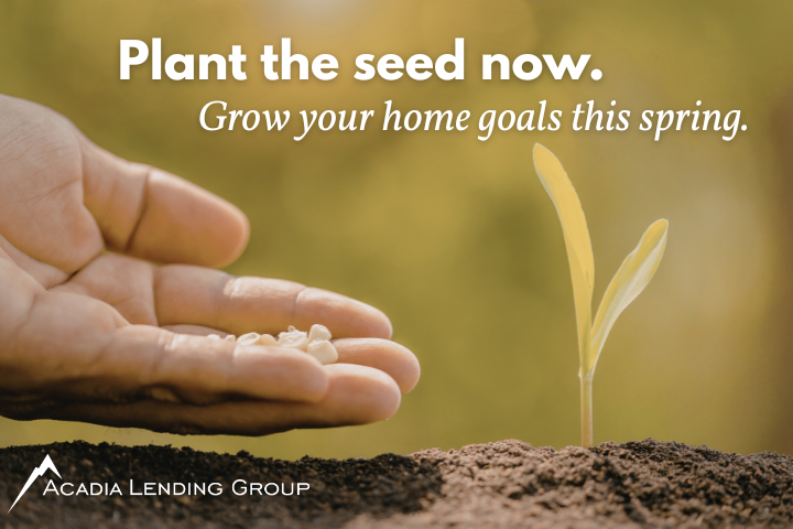 AcadiaLending's tweet photo. Spring markets move quickly.
The strongest buyers prepare before the rush.

Plant the seed now.
Pre-approval brings clarity later.

NMLS 370636 https://t.co/WC6SeUhPmW