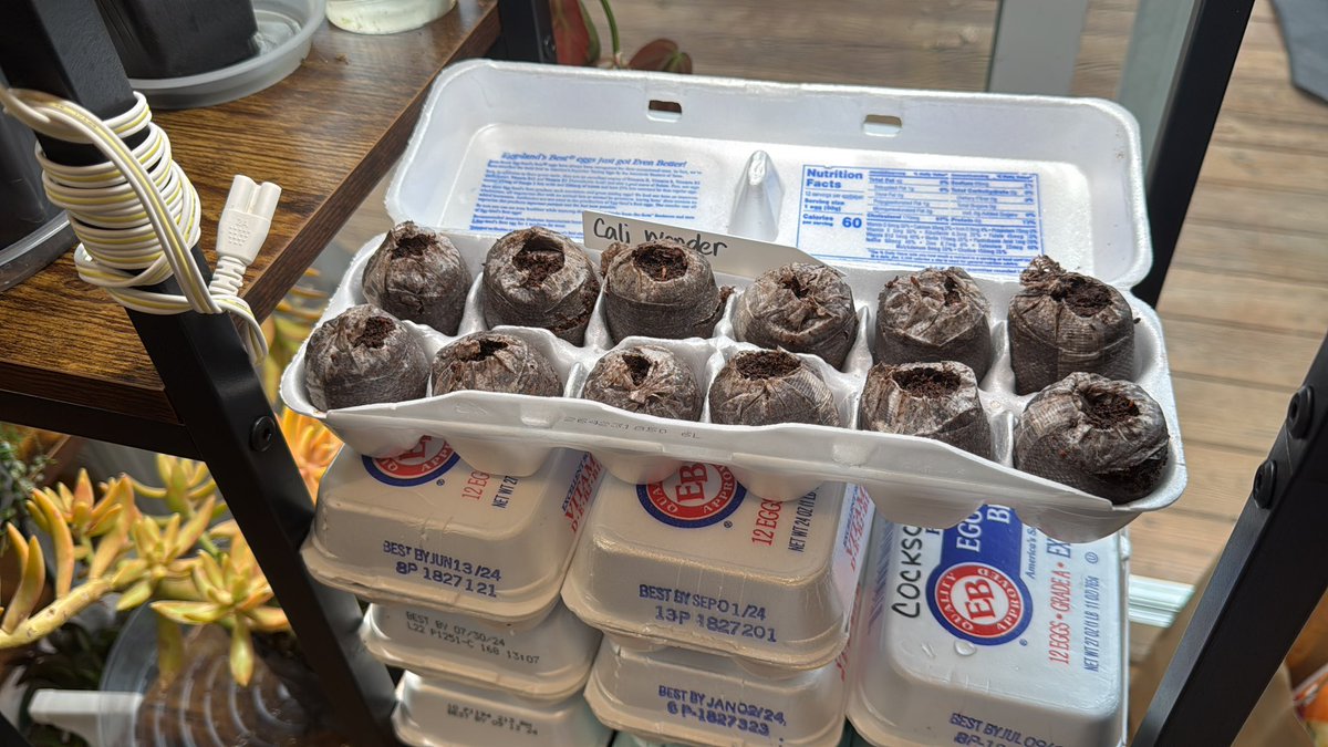 I’m itching to get going…come on spring. If you’re in my area it is time to get pepper plants going and a lot of different herbs like rosemary, parsley. Don’t forget companion plants like marigolds, those need to be started from seed early.