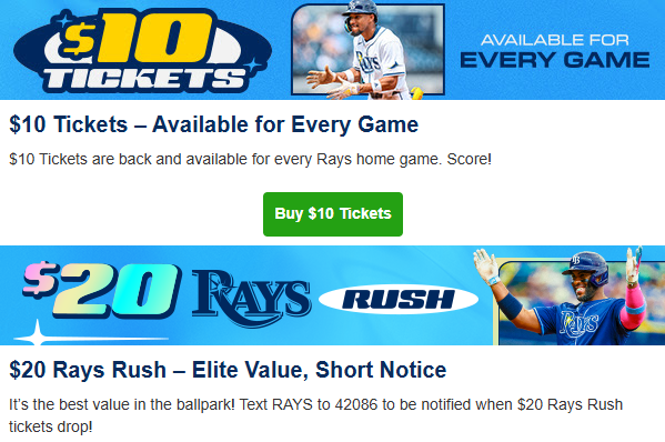 Tampa Bay Tay tweet media