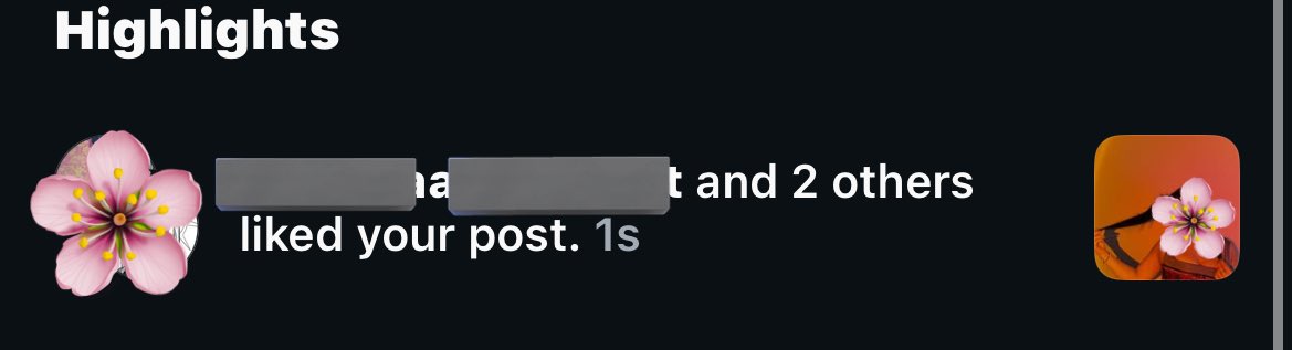 princess tweet media