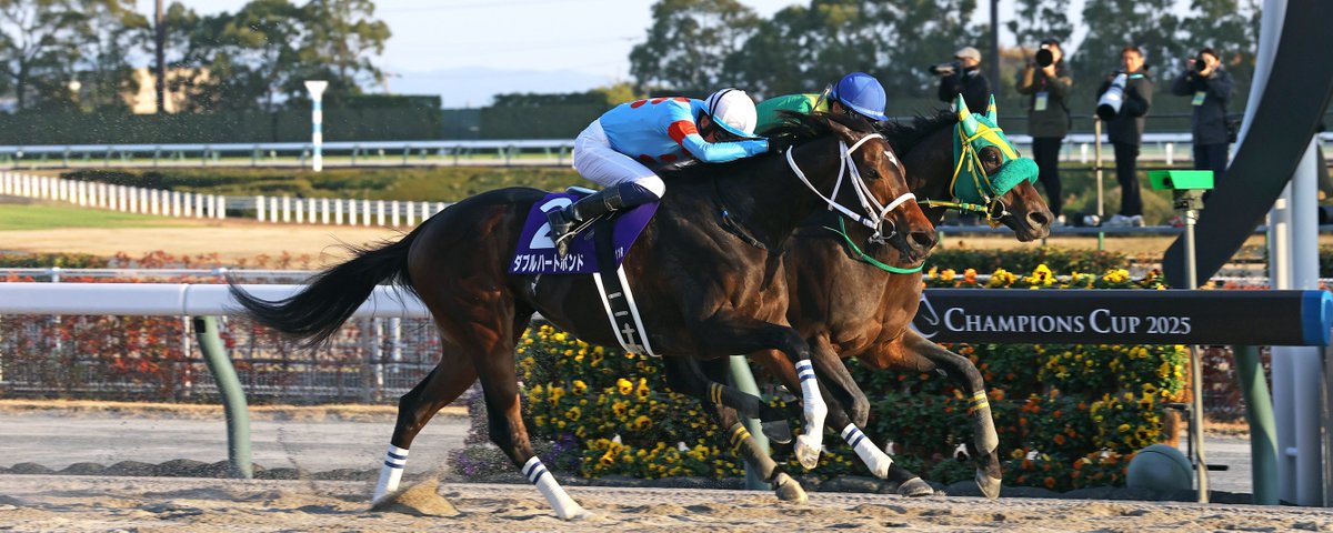 Breeders' Cup (@BreedersCup) on X