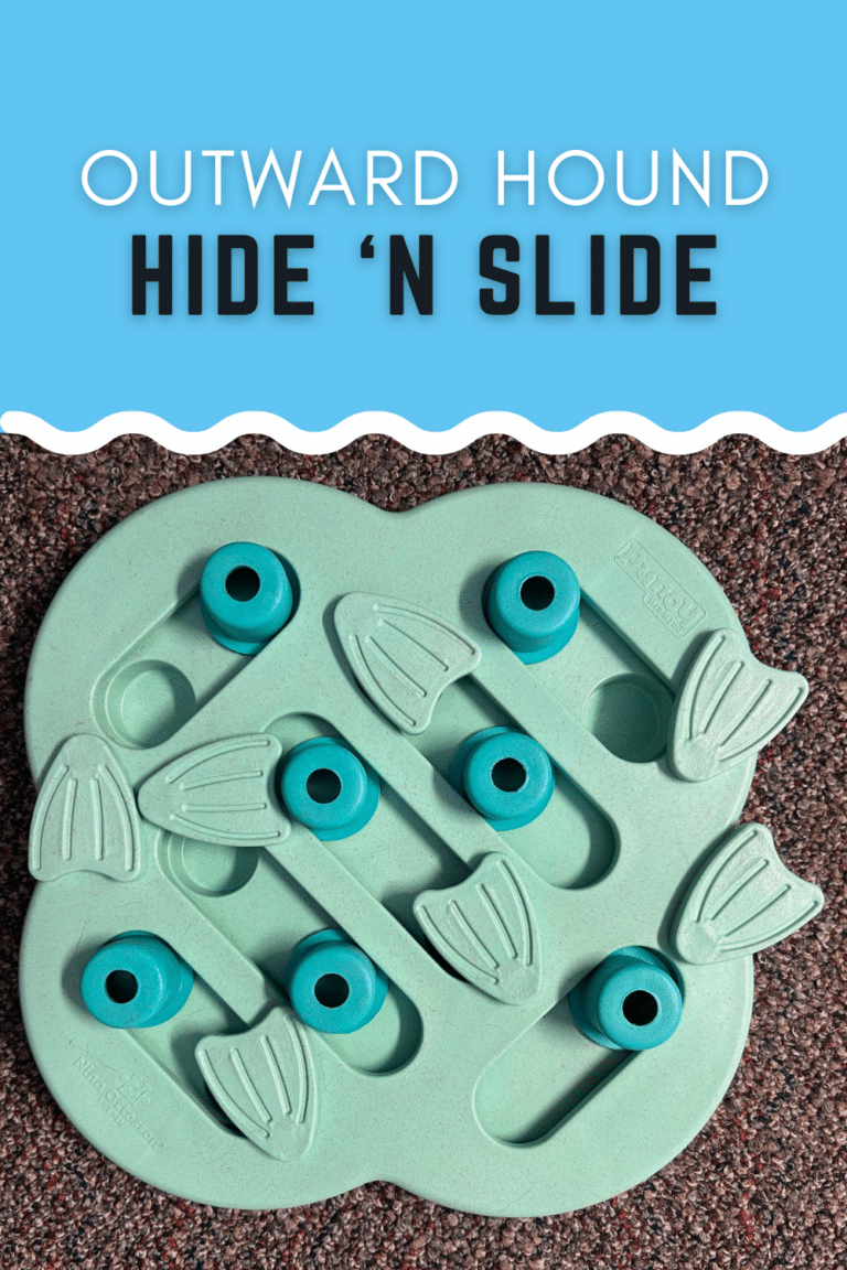 Here's our review of the Outward Hound Hide 'n Slide by Nina Ottosson, along with tips for teaching your dog how to enjoy the interactive puzzle toy and what you can do to make the puzzle a little more challenging dogtipper.com/review-outward…