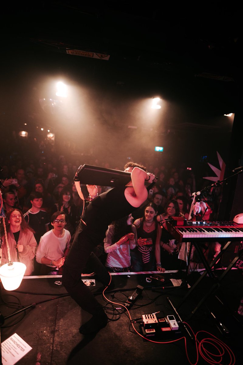 bears in trees are monumental☀️🌙 tweet media