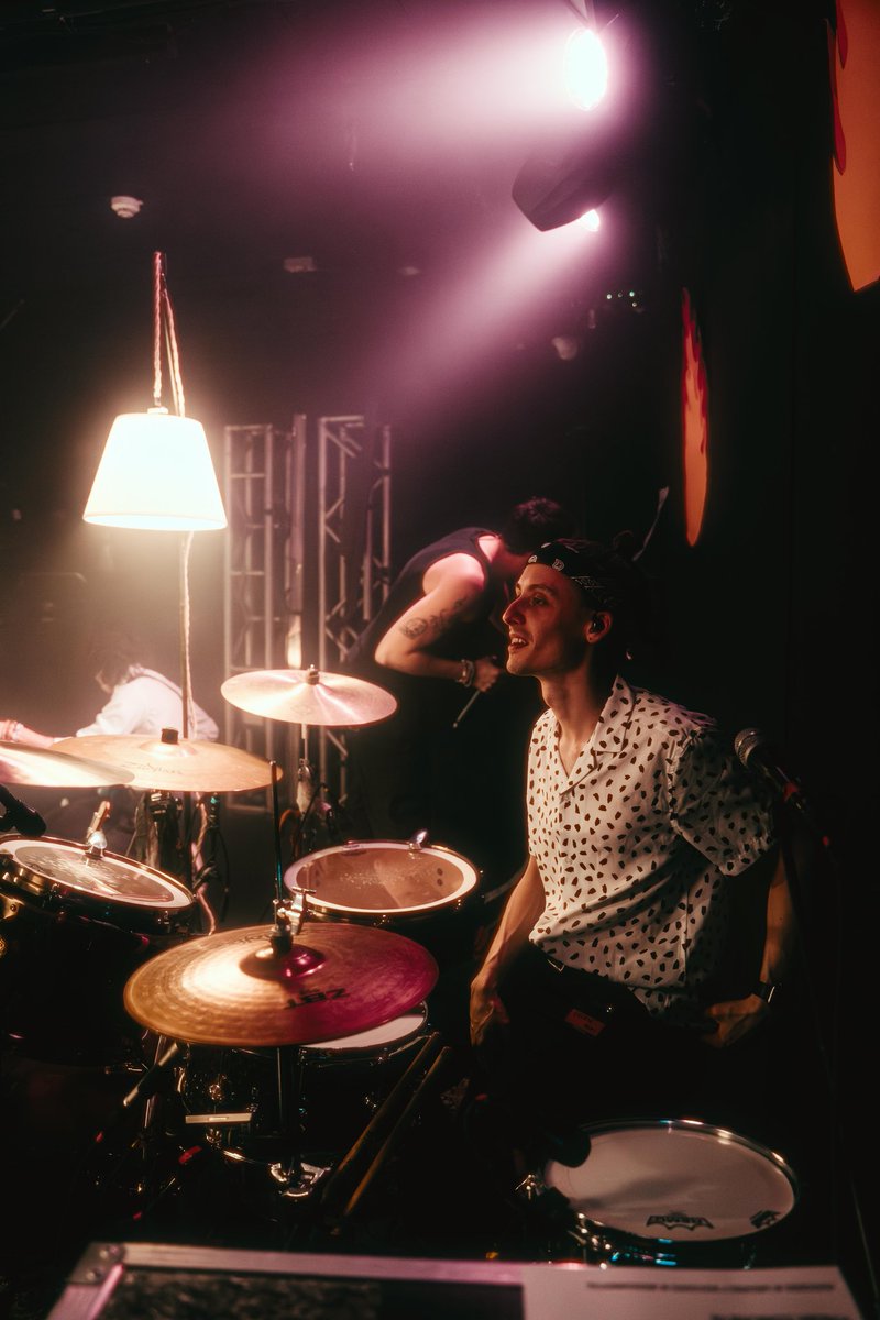 bears in trees are monumental☀️🌙 tweet media