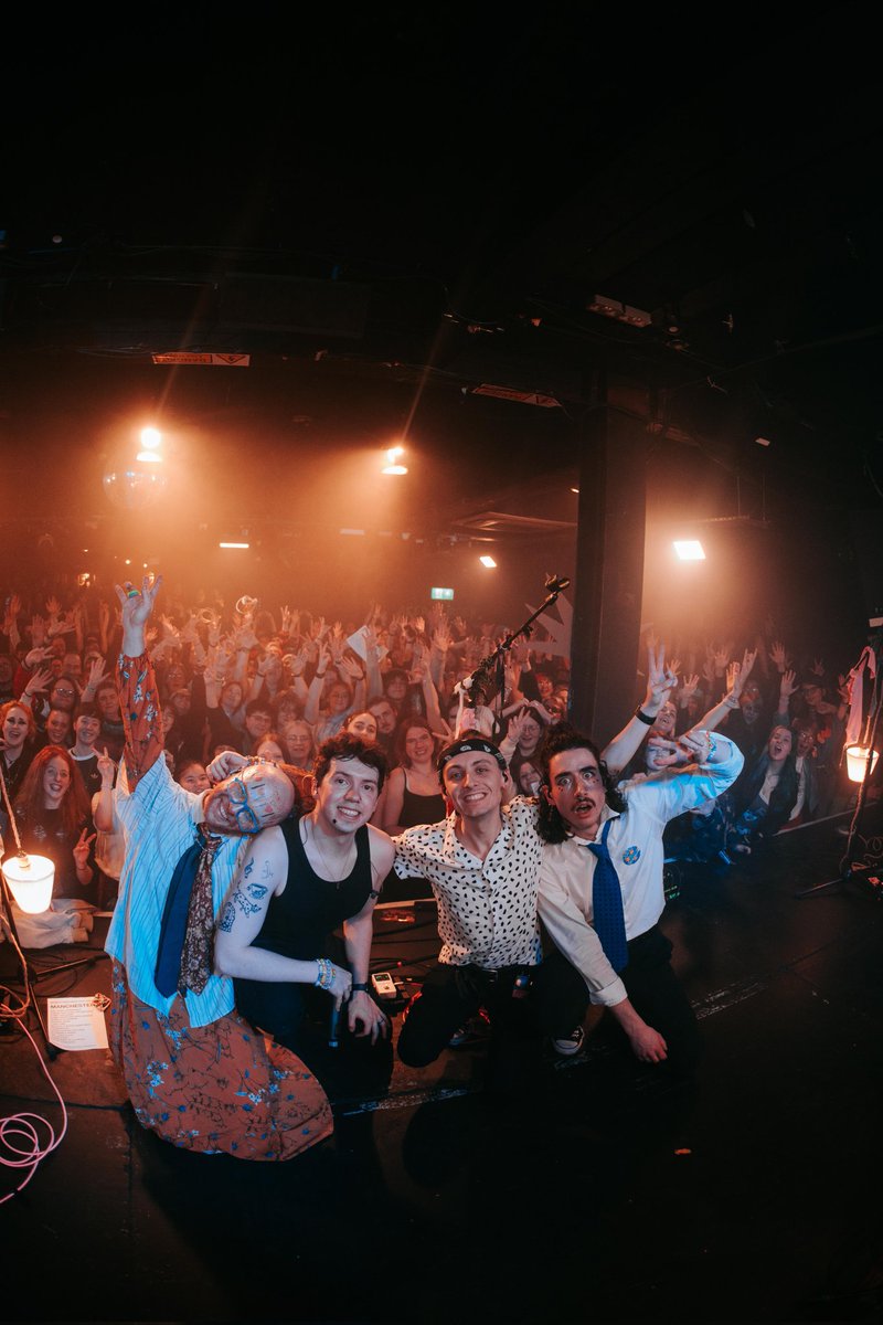 bears in trees are monumental☀️🌙 tweet media