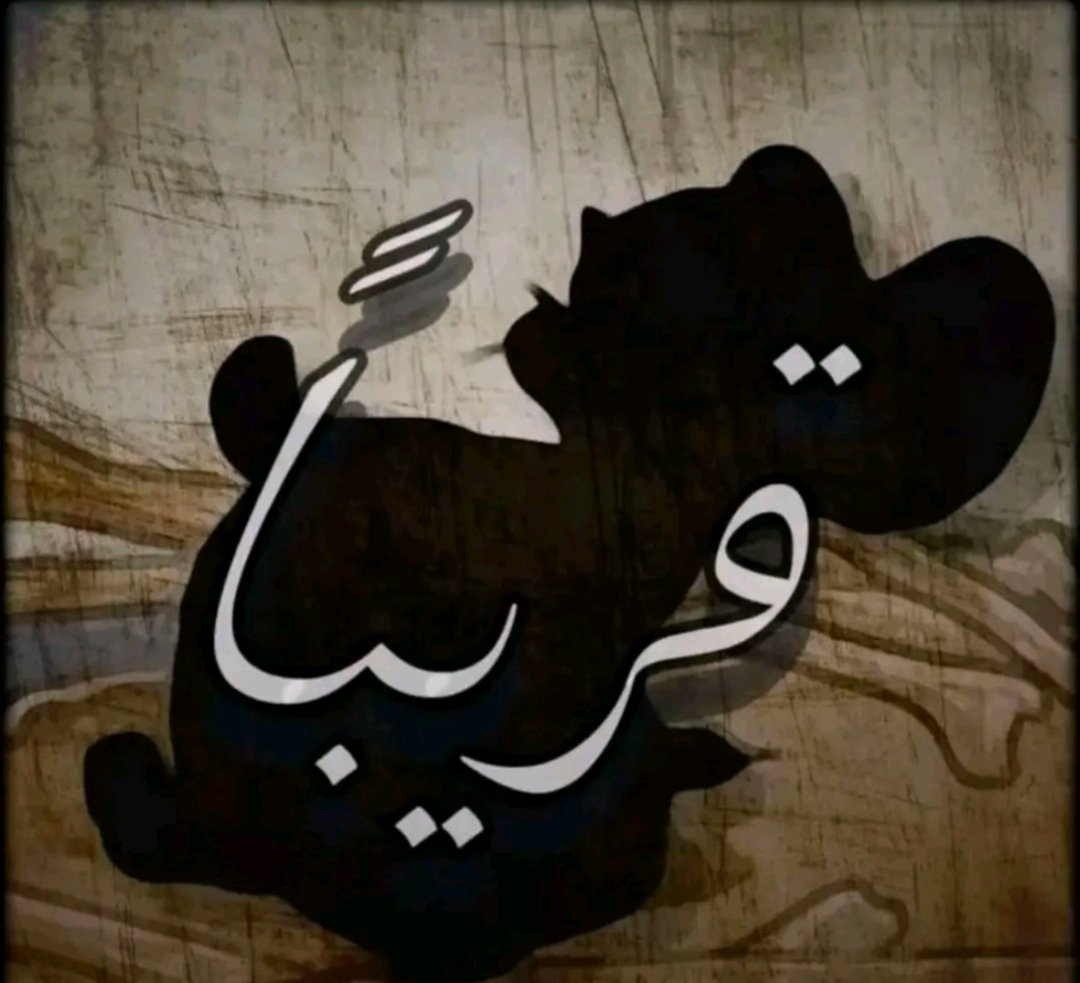 Maged 🇵🇸 tweet media