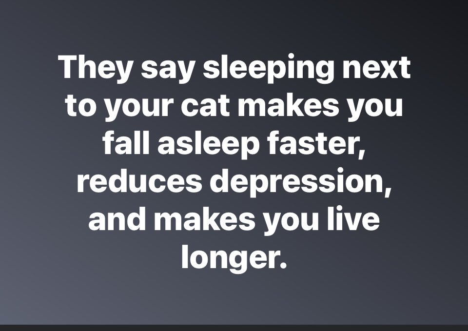 catsfurchrist's tweet photo. Did you know?
#catfact 
🐾🖤🐾🤍🐾 https://t.co/Z24WLKPd3K