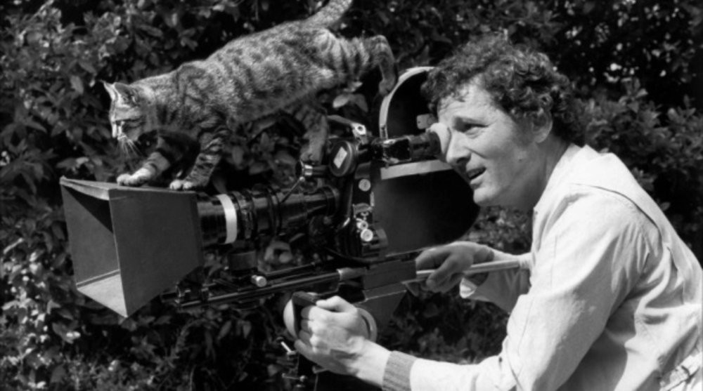 hiddenliburua tweet media