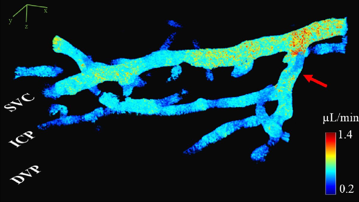 Optica Publishing Group tweet media