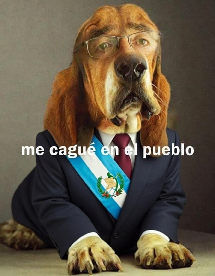 HondaEP3's tweet image. El therian que nos gobierna