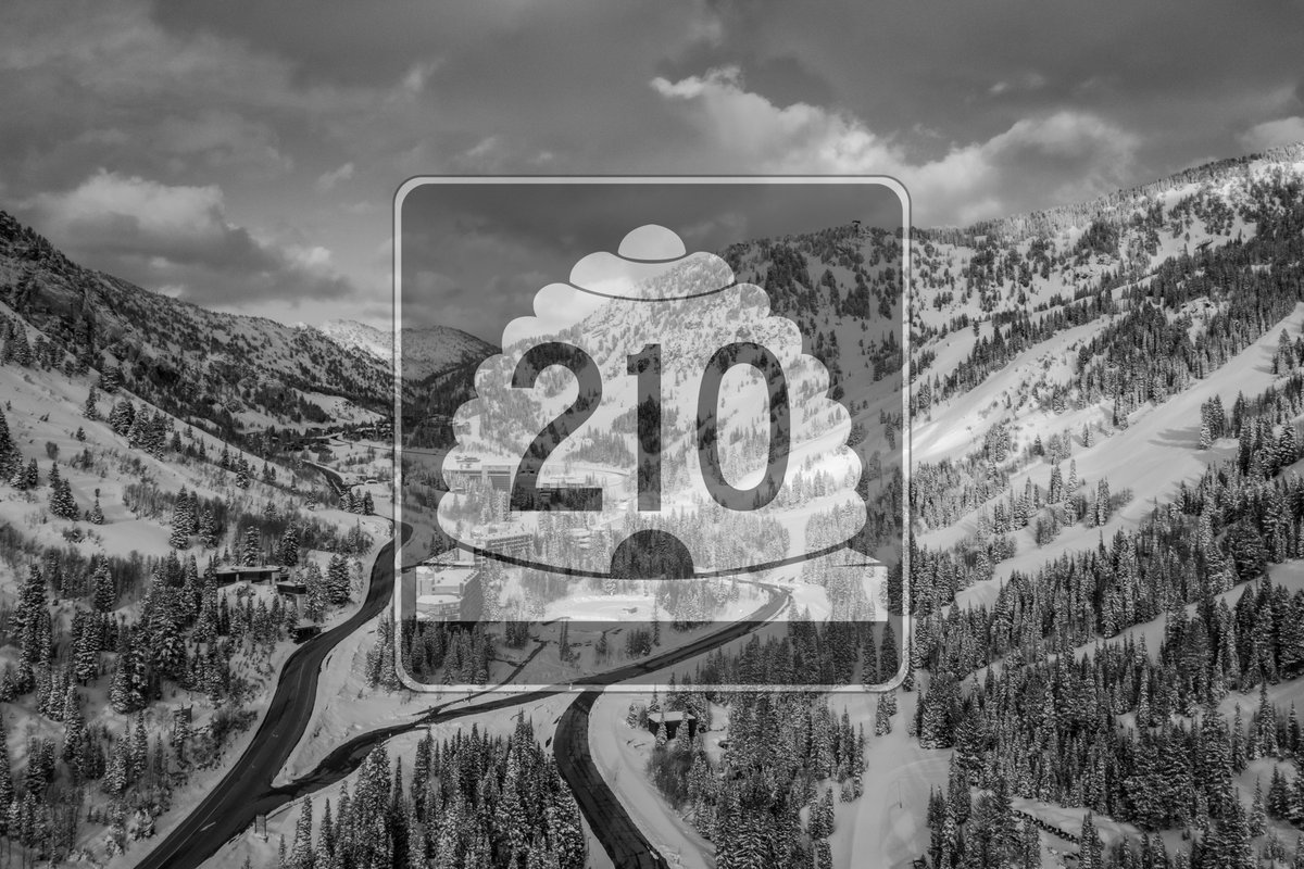 Snowbird tweet media