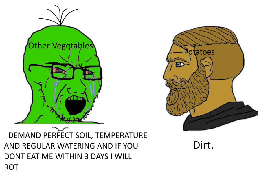basedchad's tweet photo. Chads don't need much to Thrive https://t.co/yLoIVGBdO6