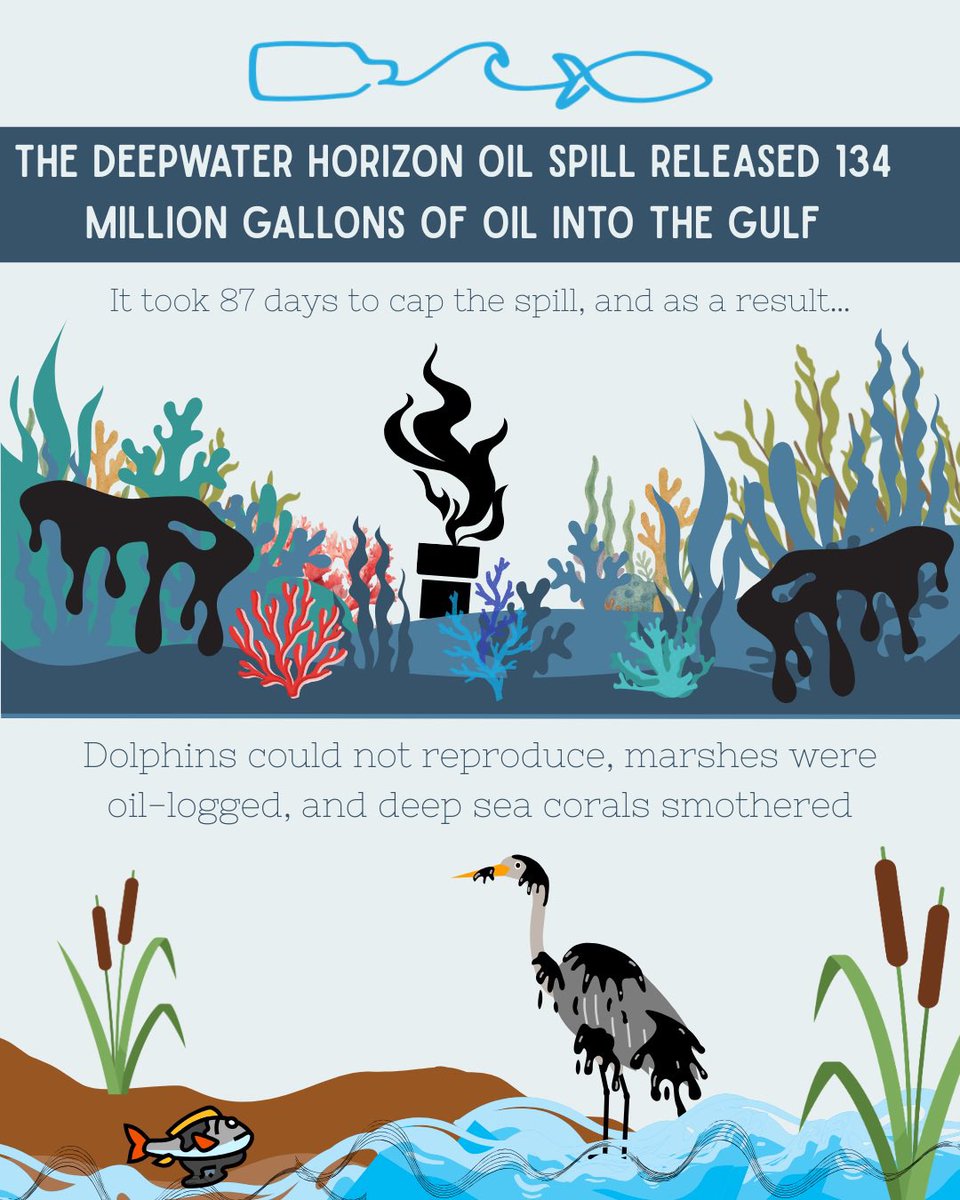 e v e r b l u e tweet media