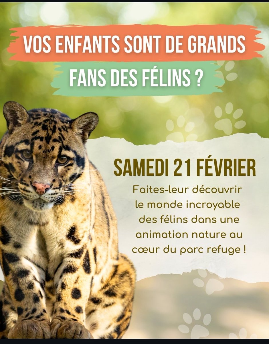 annelabretonne's tweet photo. Si vous êtes dans le secteur de #pontscorff https://t.co/5CSFe7kEry