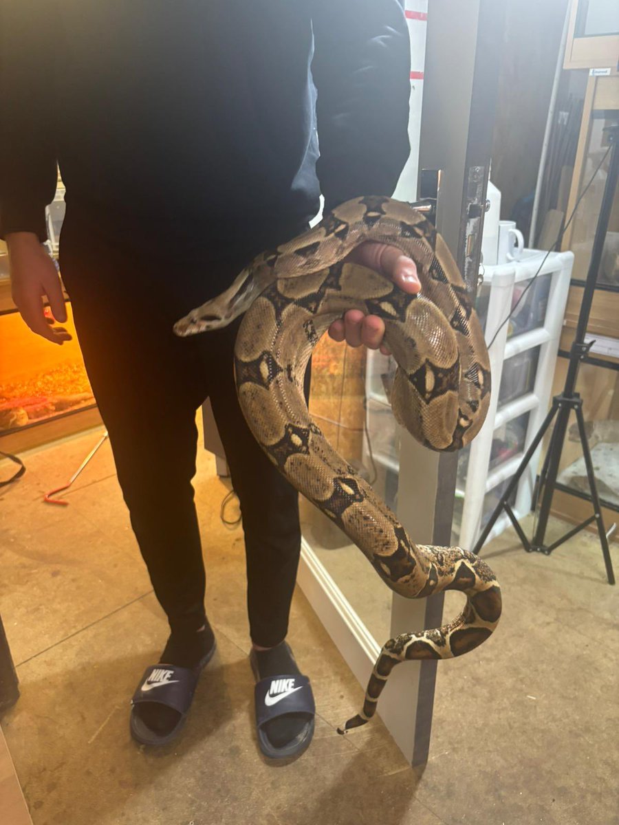 CariMurph tweet media