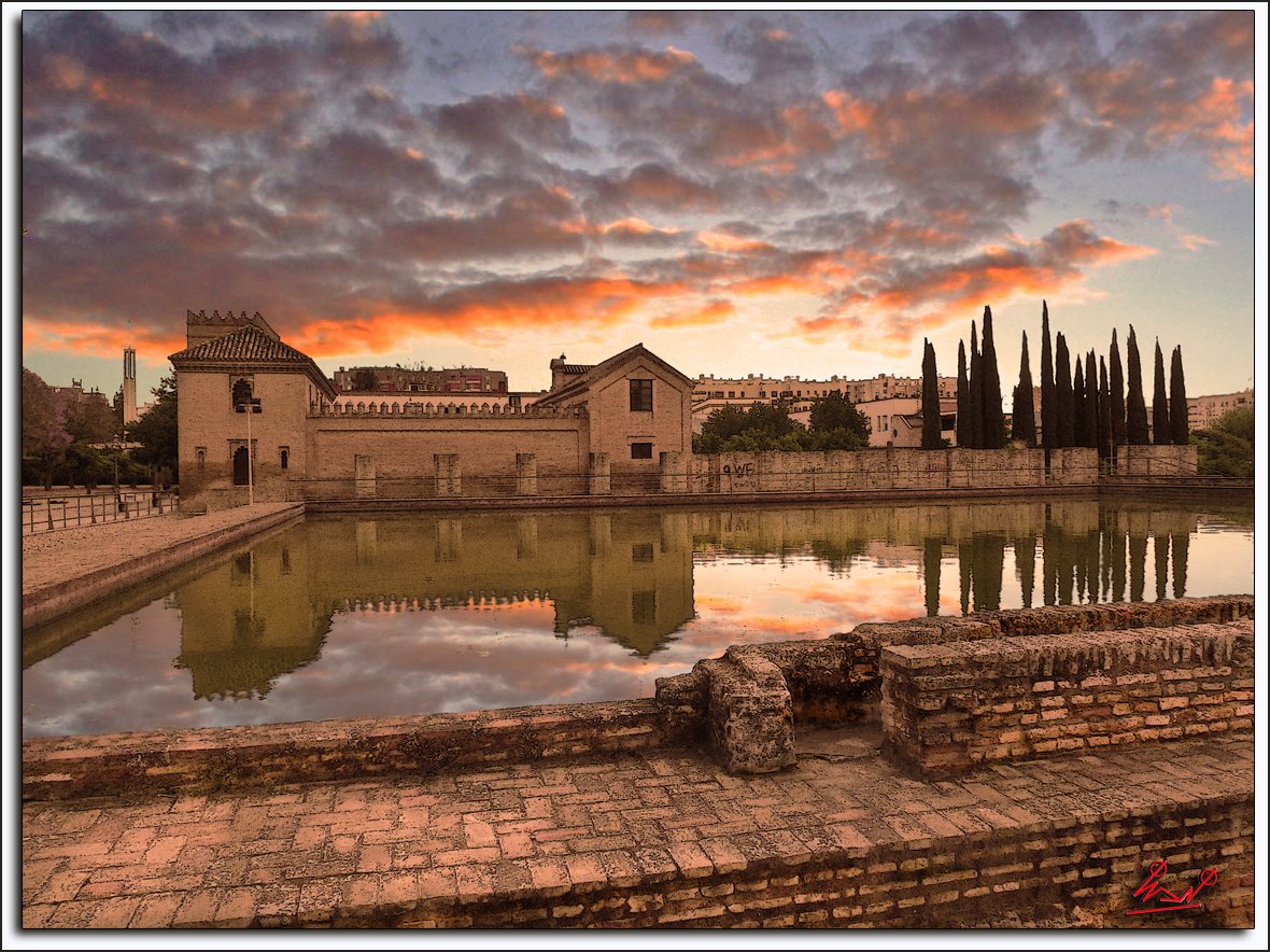 Foro Rey Fernando III tweet media