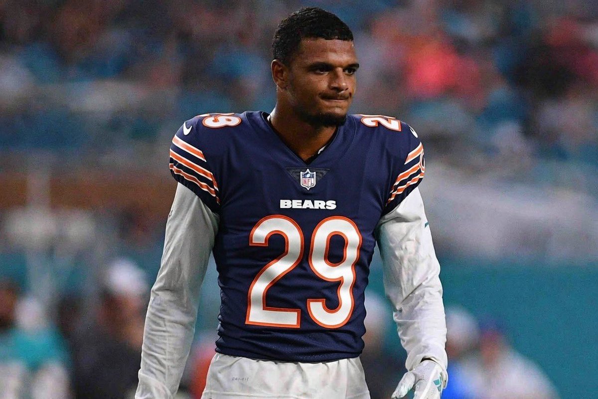 BearsMuse tweet media