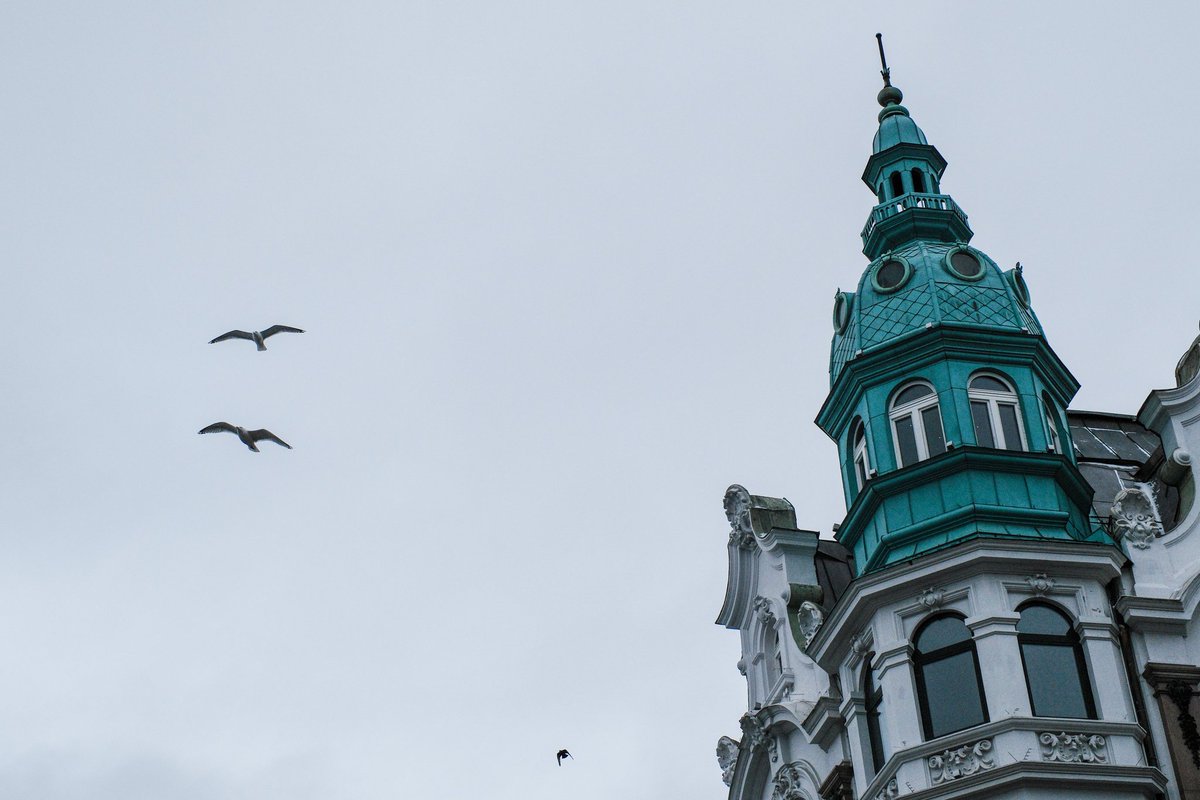 PicikalyPit's tweet photo. #Oslo chapters https://t.co/ffjyK7egdO