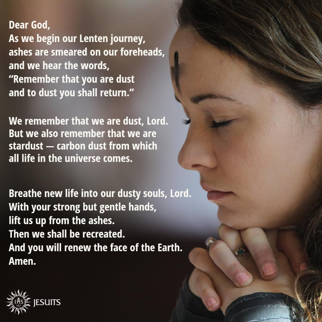 Jesuit News tweet media