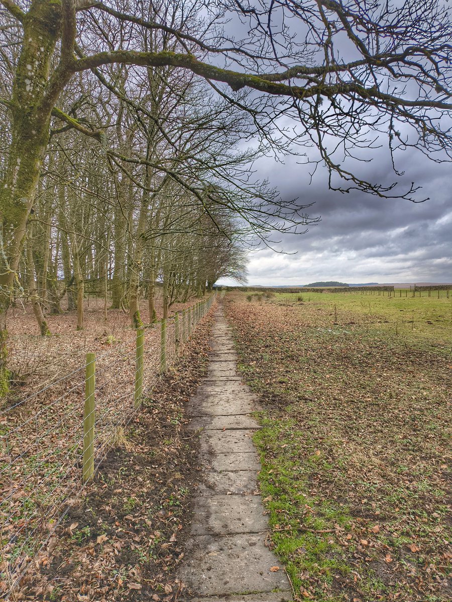 HADRIAN'S WALL PATH tweet media