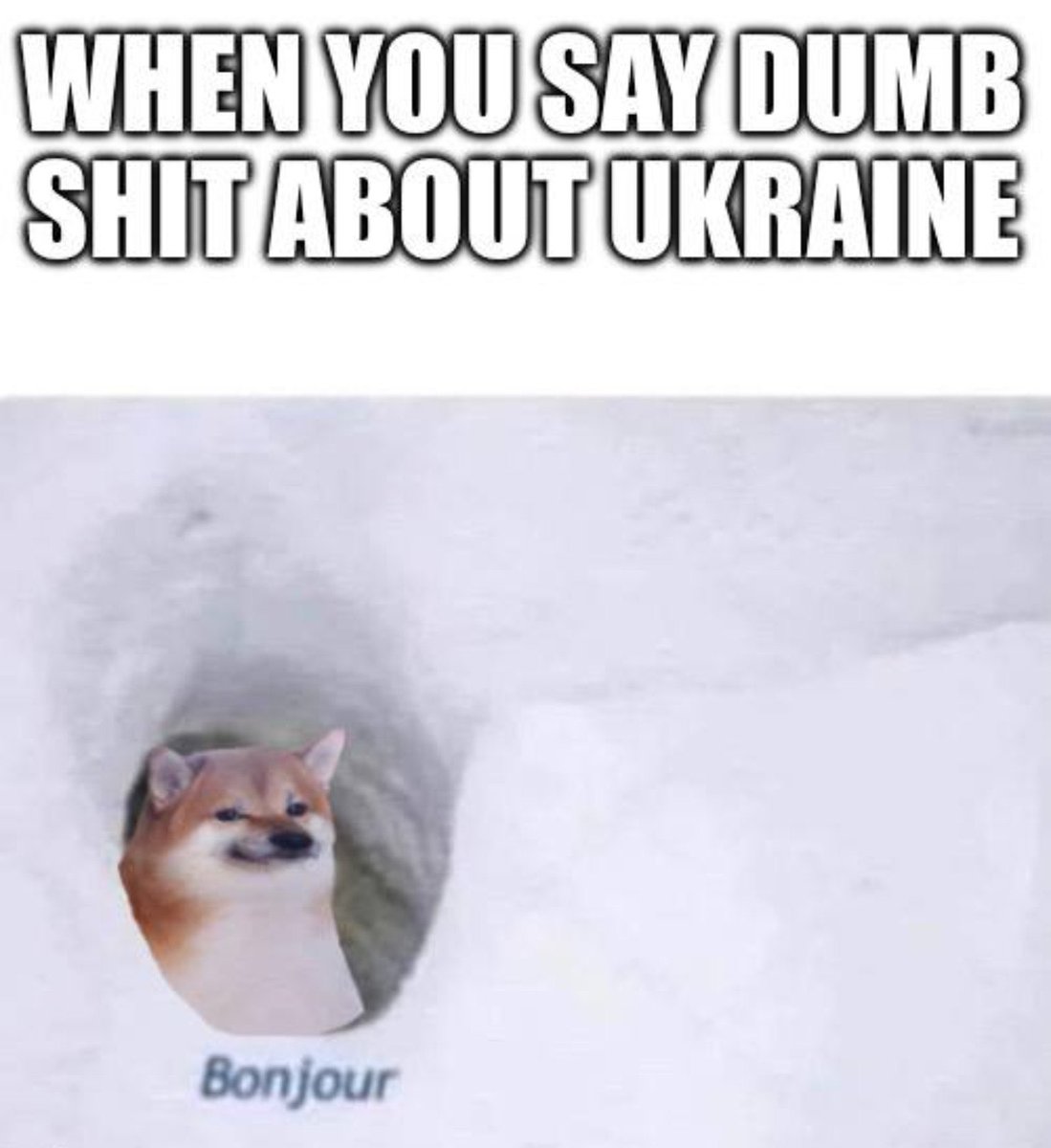 I see new Fellas joining NAFO, just a couple things to all the new guys:

1. Before leaving for bonking missions drop by Linda’s office in [redacted] if you want your monthly paychecks.

2. Never ever tell anyone who funds NAFO.

3. No sex tunnels the first week, you little pervs