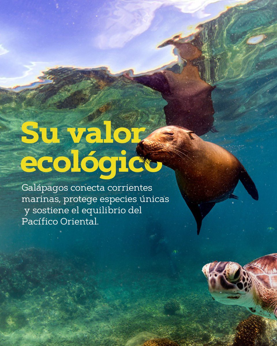 ATUNEC EC tweet media