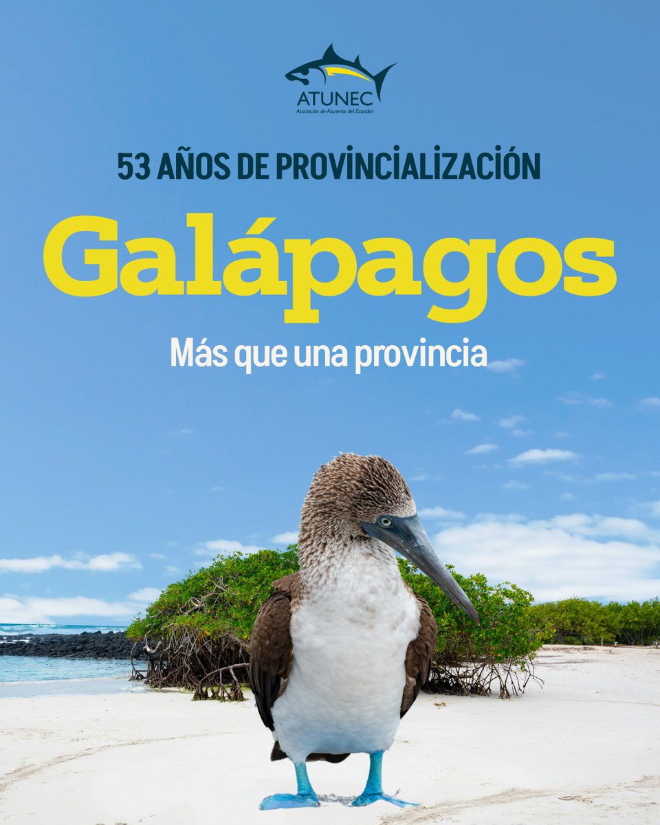 ATUNEC EC tweet media