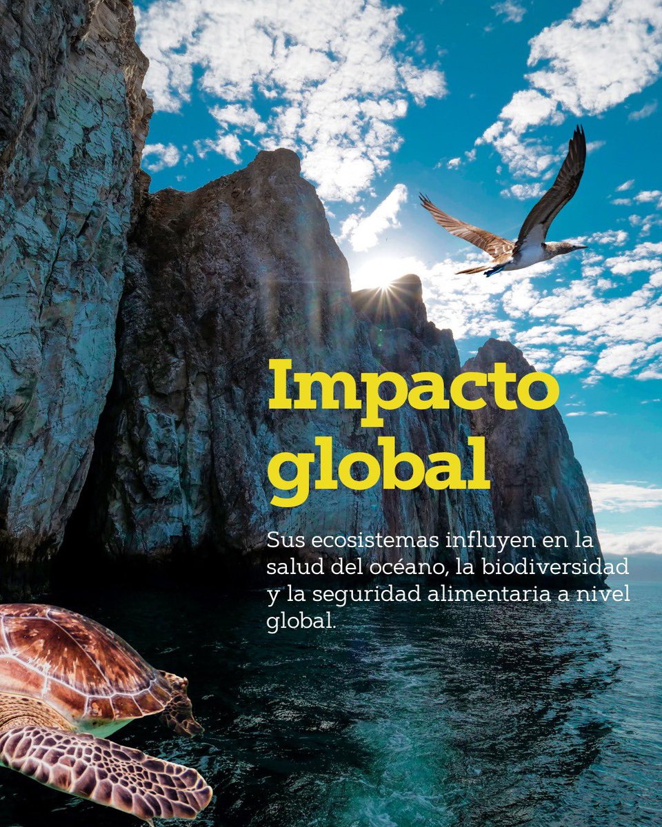 ATUNEC EC tweet media