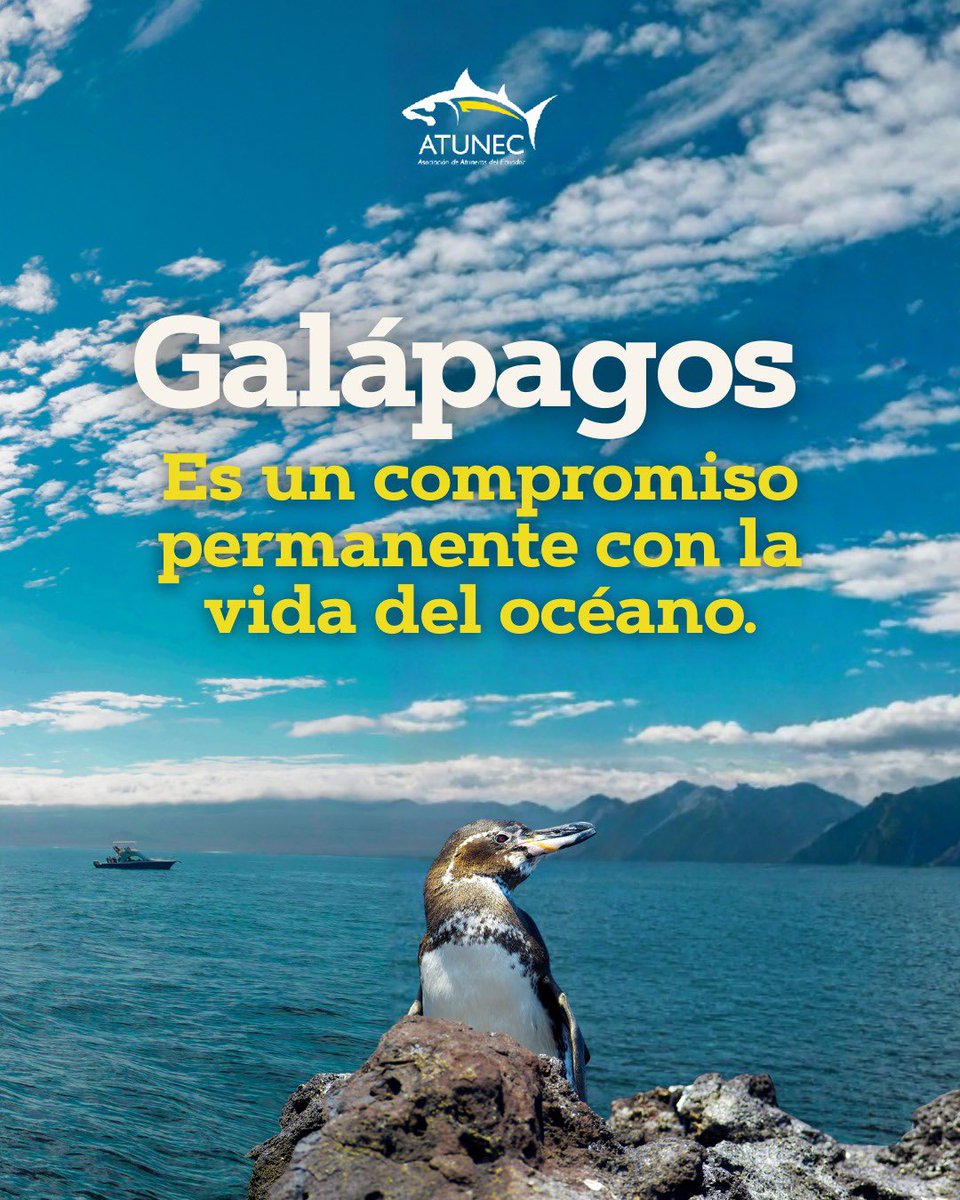 ATUNEC EC tweet media