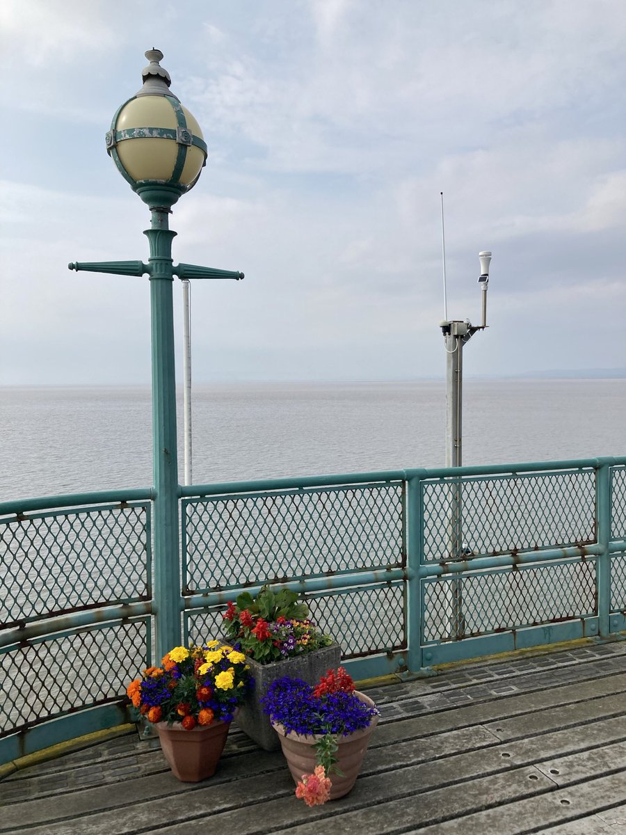 westcountrybird's tweet photo. @DailyPicTheme2 #DailyPictureTheme #Handrail #ClevedonPier https://t.co/B0WqIJzxAw