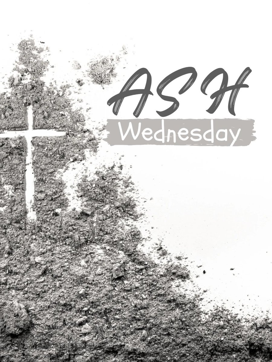 Tim Louis 🇨🇦 tweet media