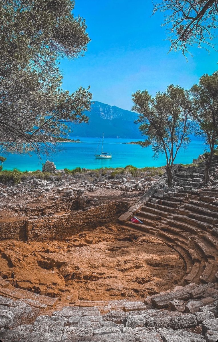 Basileos tweet media