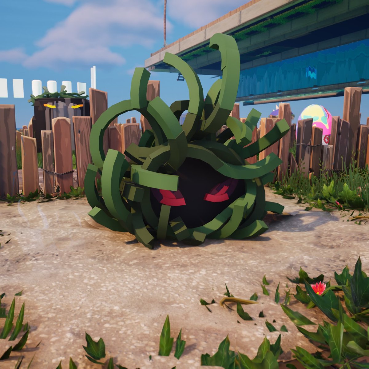 No confundir con un cangrejo ermitaño