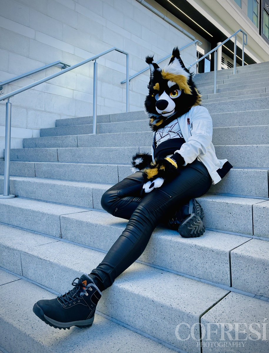 CofresiPhotos's tweet photo. Completed editing this photoshoot from my time in Virginia Beach Town Center!

You can find the full album here: https://t.co/TBIPAOe7Ue

#Furry #Fursuit #Photoshoot #Fursuiting #FursuitPhotoshoot https://t.co/goApe2tUNv