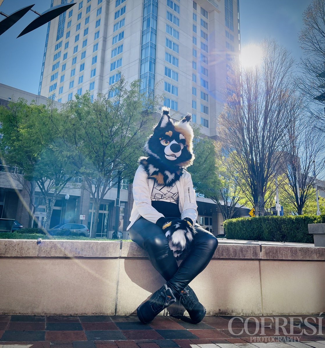 CofresiPhotos's tweet photo. Completed editing this photoshoot from my time in Virginia Beach Town Center!

You can find the full album here: https://t.co/TBIPAOe7Ue

#Furry #Fursuit #Photoshoot #Fursuiting #FursuitPhotoshoot https://t.co/goApe2tUNv